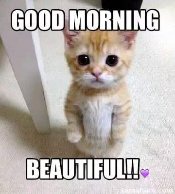 Good Morning Meme to Start Your Day with a Smile Funny Cute and Shareable 2 funny good morning meme